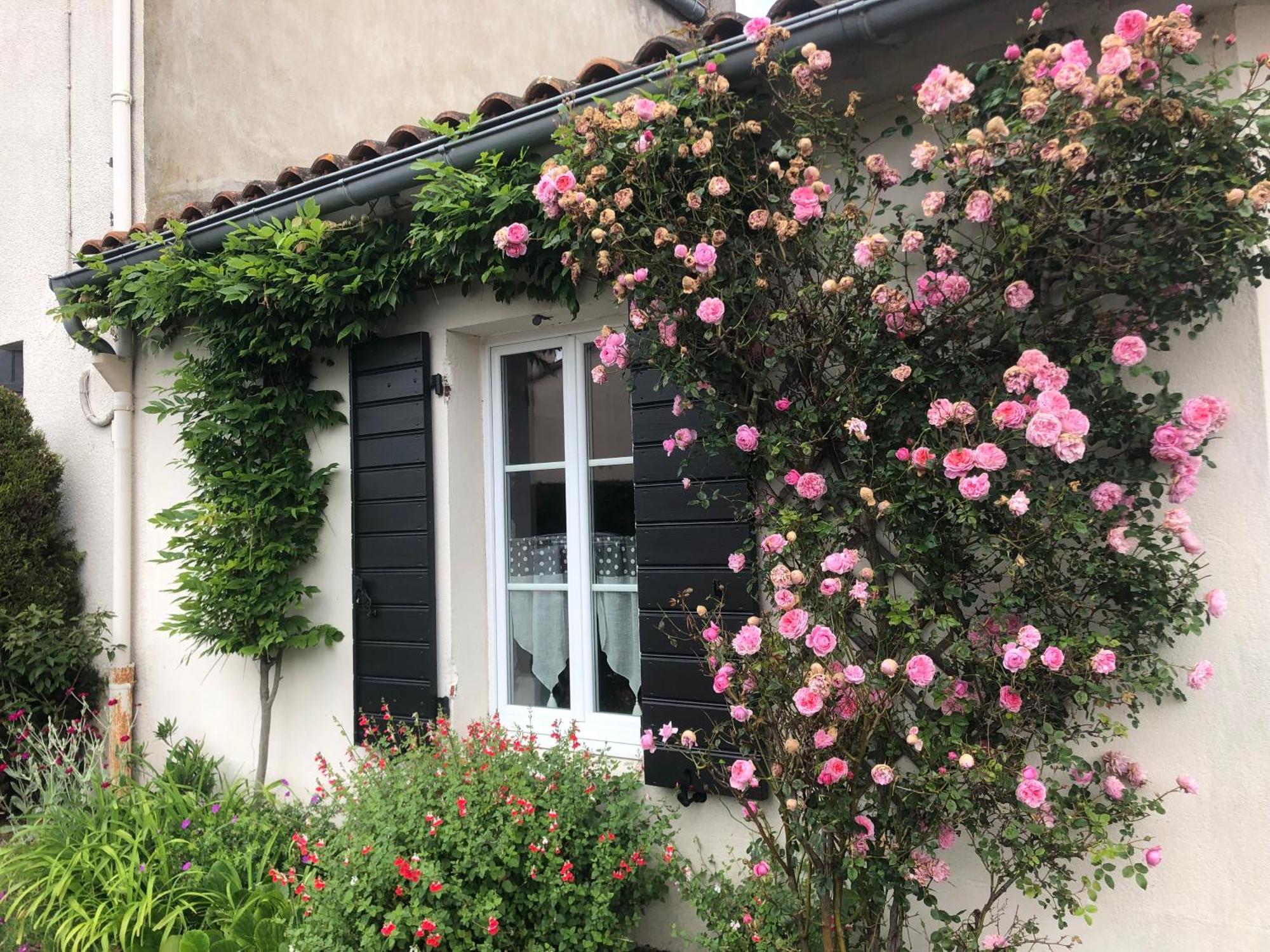 La Mulonniere Bed & Breakfast Saint-Sebastien-sur-Loire Exterior photo